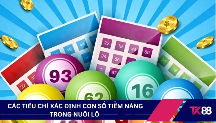 Các tiêu chí xác định con số tiềm năng trong nuôi lô